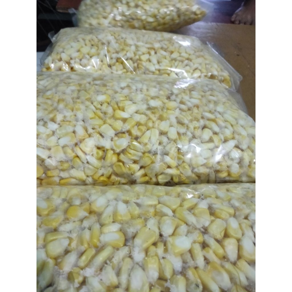 

Jagung Manis Pipil | Jagung Manis Bahan Jasuke | Jagung Manis |Biji Jagung Manis Pipil | Biji Jagung Bahan Mozarella | Jagung Manis Pipil Shoup