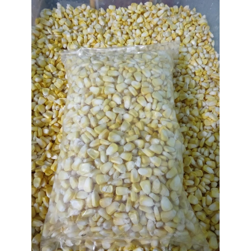 

Jagung Manis Pipil |Biji Jagung Manis Frezz | Biji Jagung Bahan Jasuke | Jagung Manis Pipil Bahan Cream Shoup | Jagung Manis Pipil Mozarella