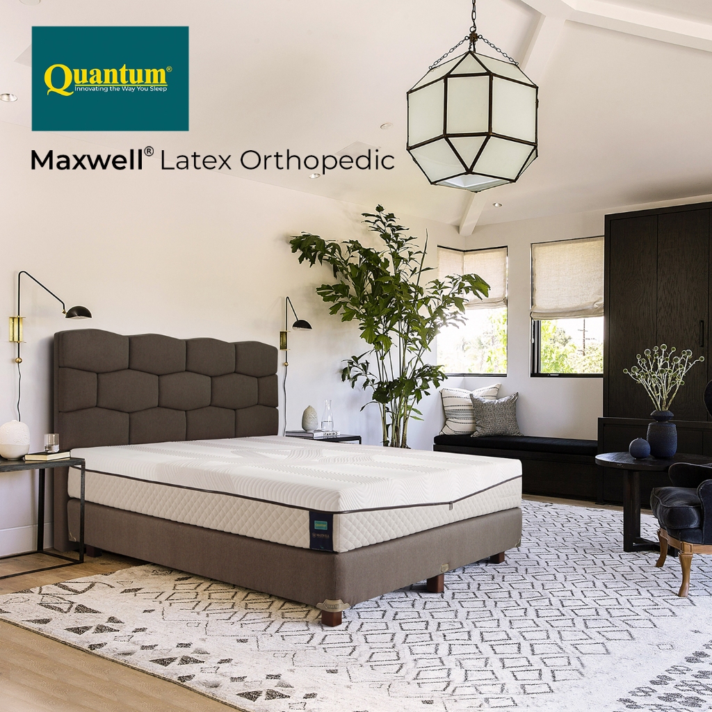 Quantum Maxwell Latex Orthopedic Eleanor - Kasur Springbed Spring Bed