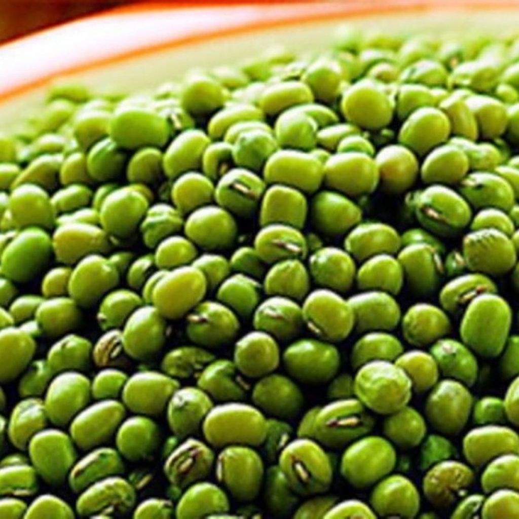 

1 kg kacang hijau fresh dari petani langsung, di masak mudah hancur.