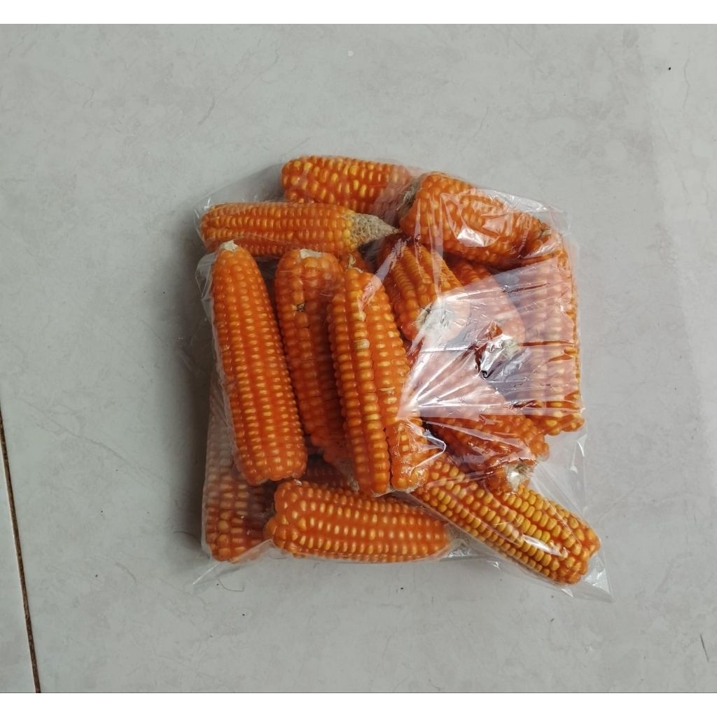 

jagung asli madura kering dan bersih 1 kg asli dari petani lokal