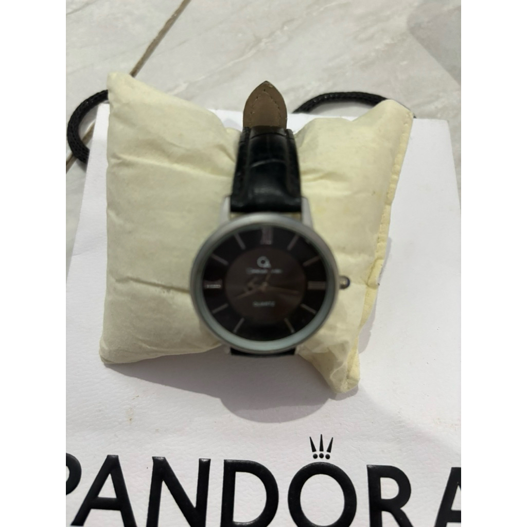 jam tangan christyan arden