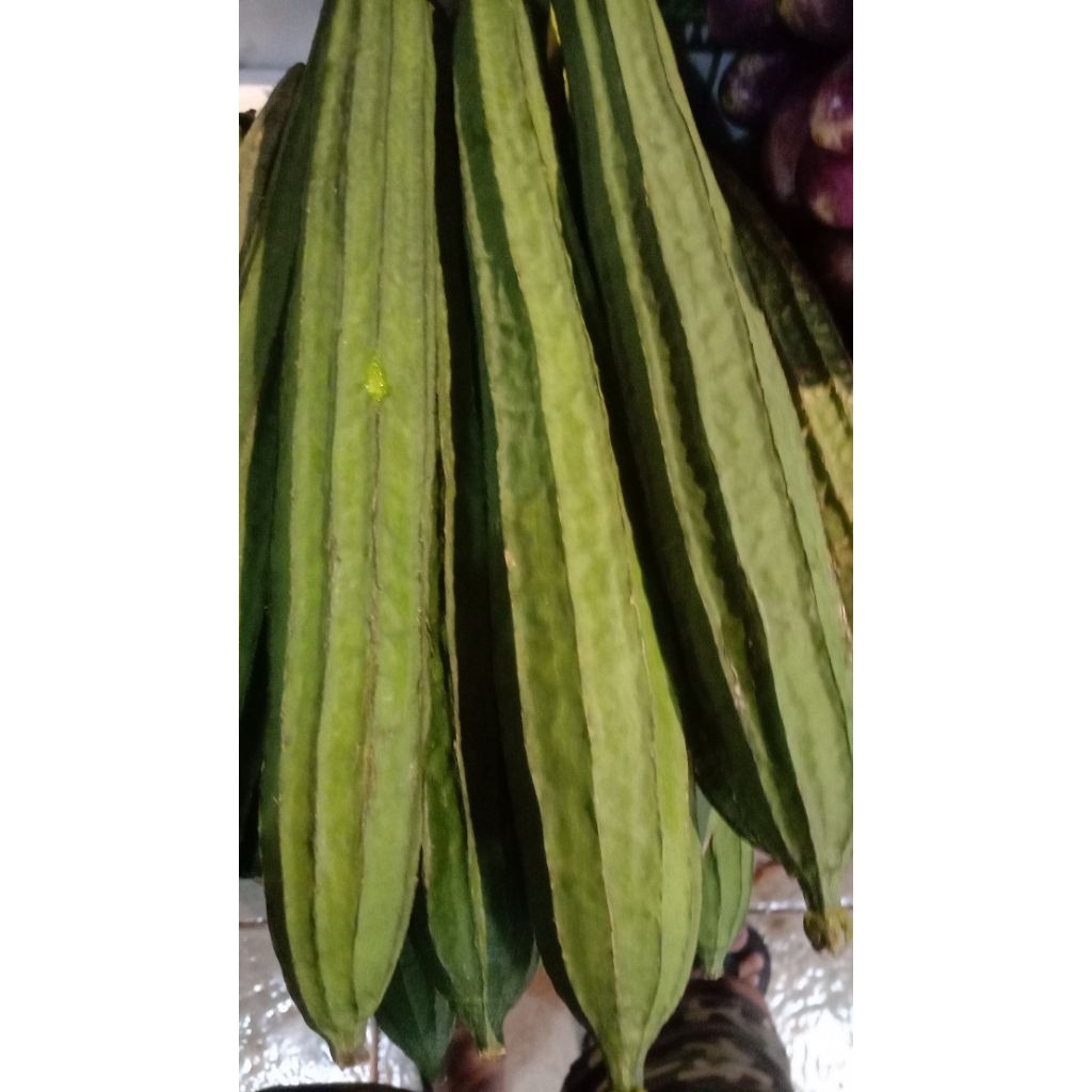 

oyong / gambas 500 gr