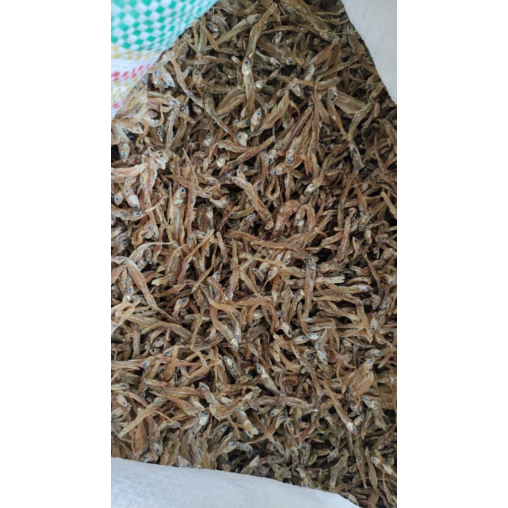 

Ikan asin Mairo / Lure 250 gram