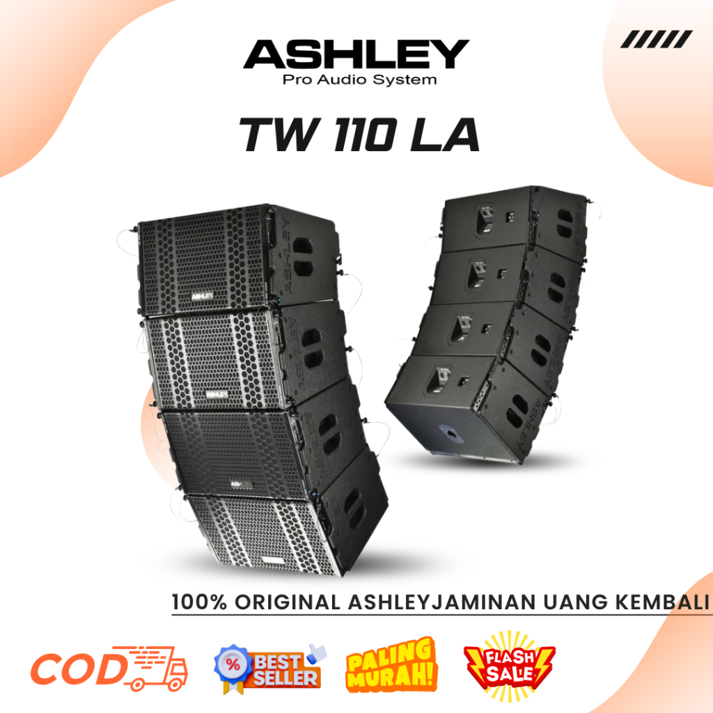 Line Array Ashley TW 110 LA Professional Line Array Speaker