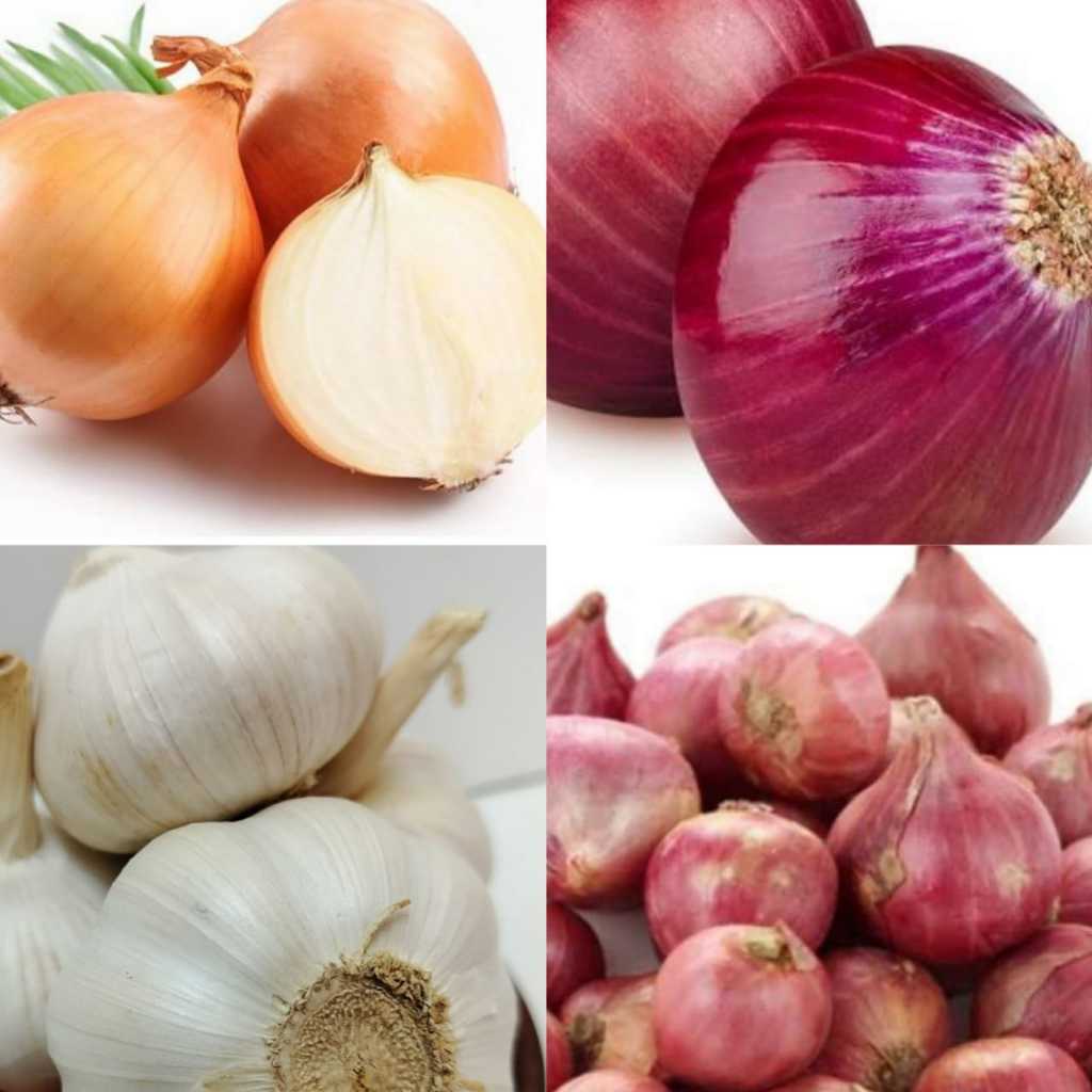 

COD 1 KG ANEKA BAWANG MURAH PUTIH MERAH BAWANG BOMBAY INDIA BOMBAI BESAR JAWA BIMA GUDANG GROSIR BESAR KALIMANTAN