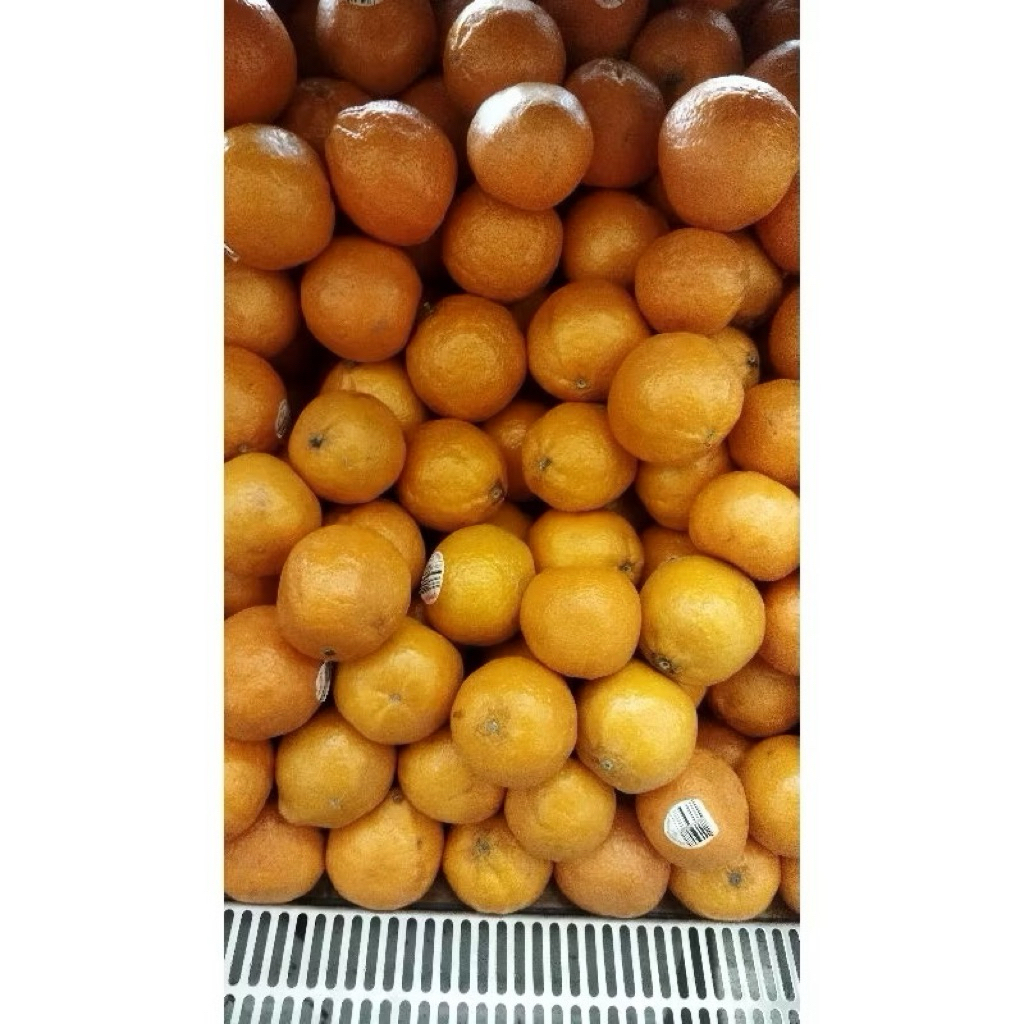 

Jeruk Summerina Mandarin Aust 1kg