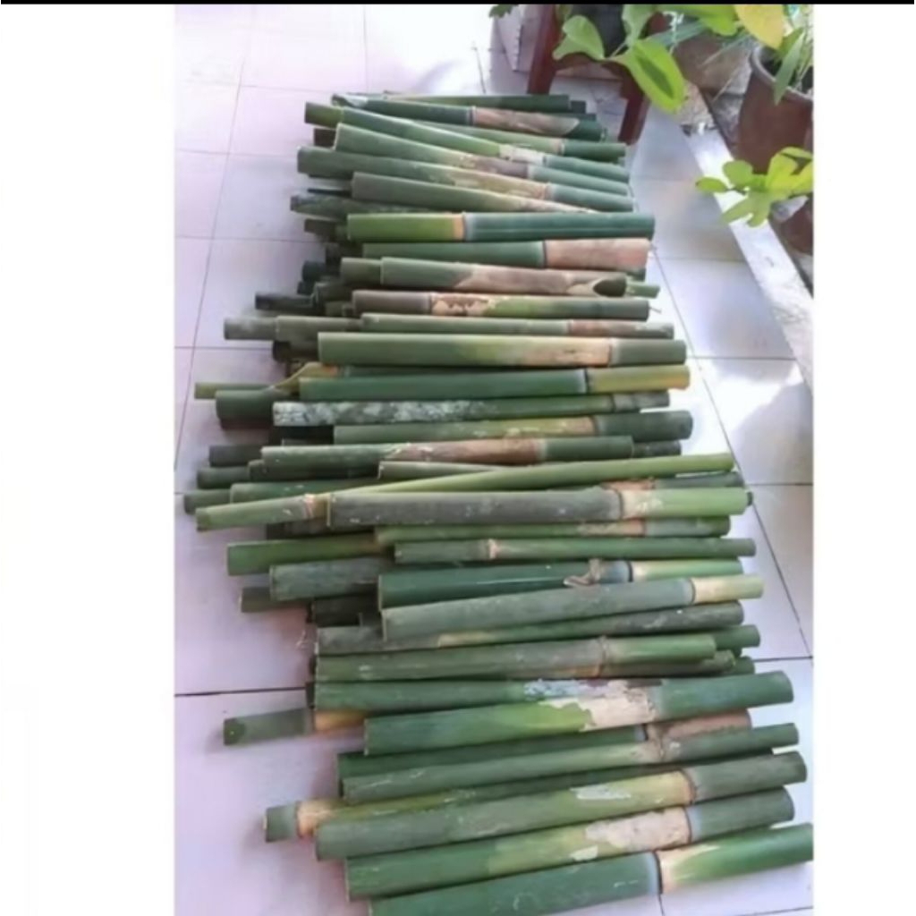 Obor bambu/obor pawai/obor camping/obor api+sumbu