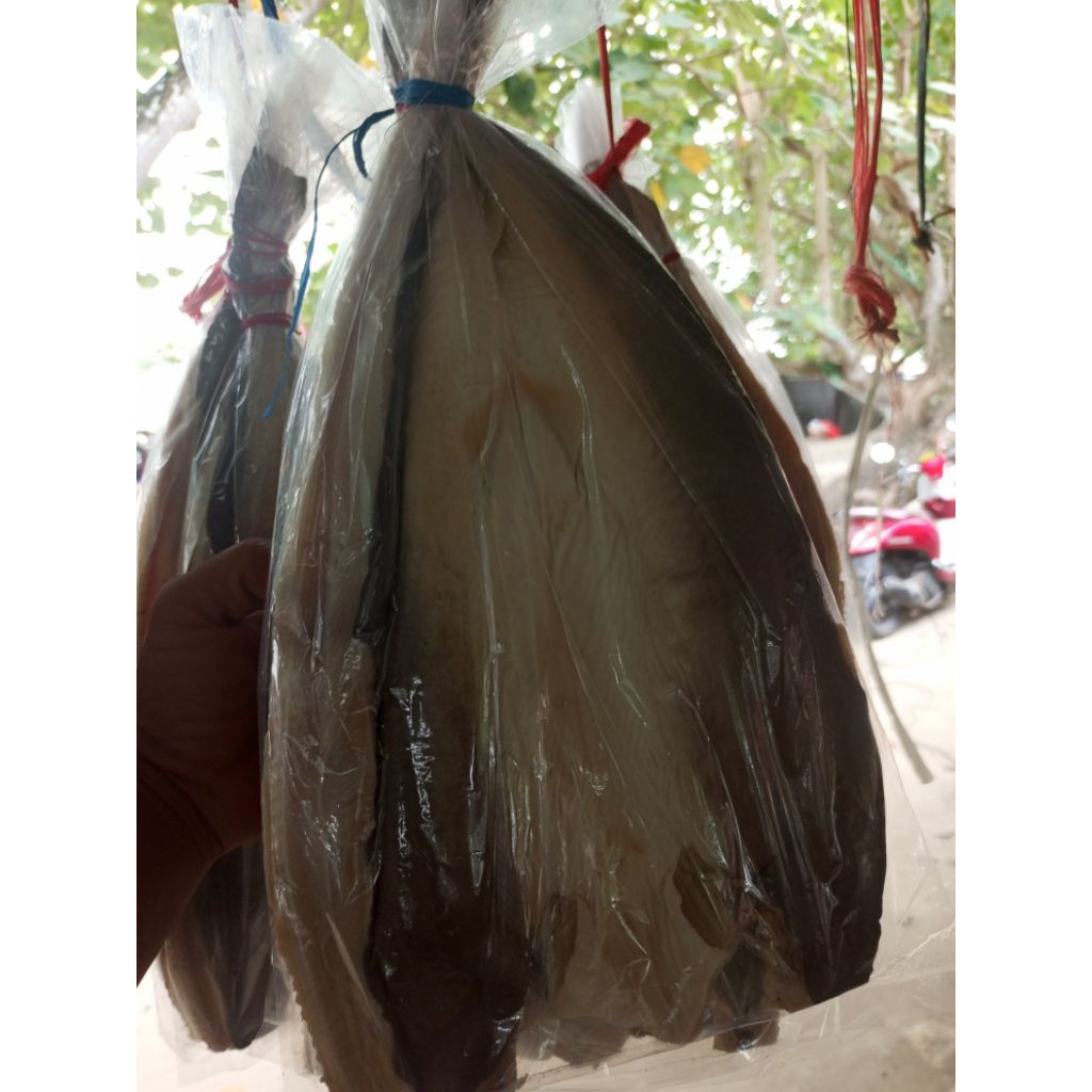 

ikan asin jambal roti.