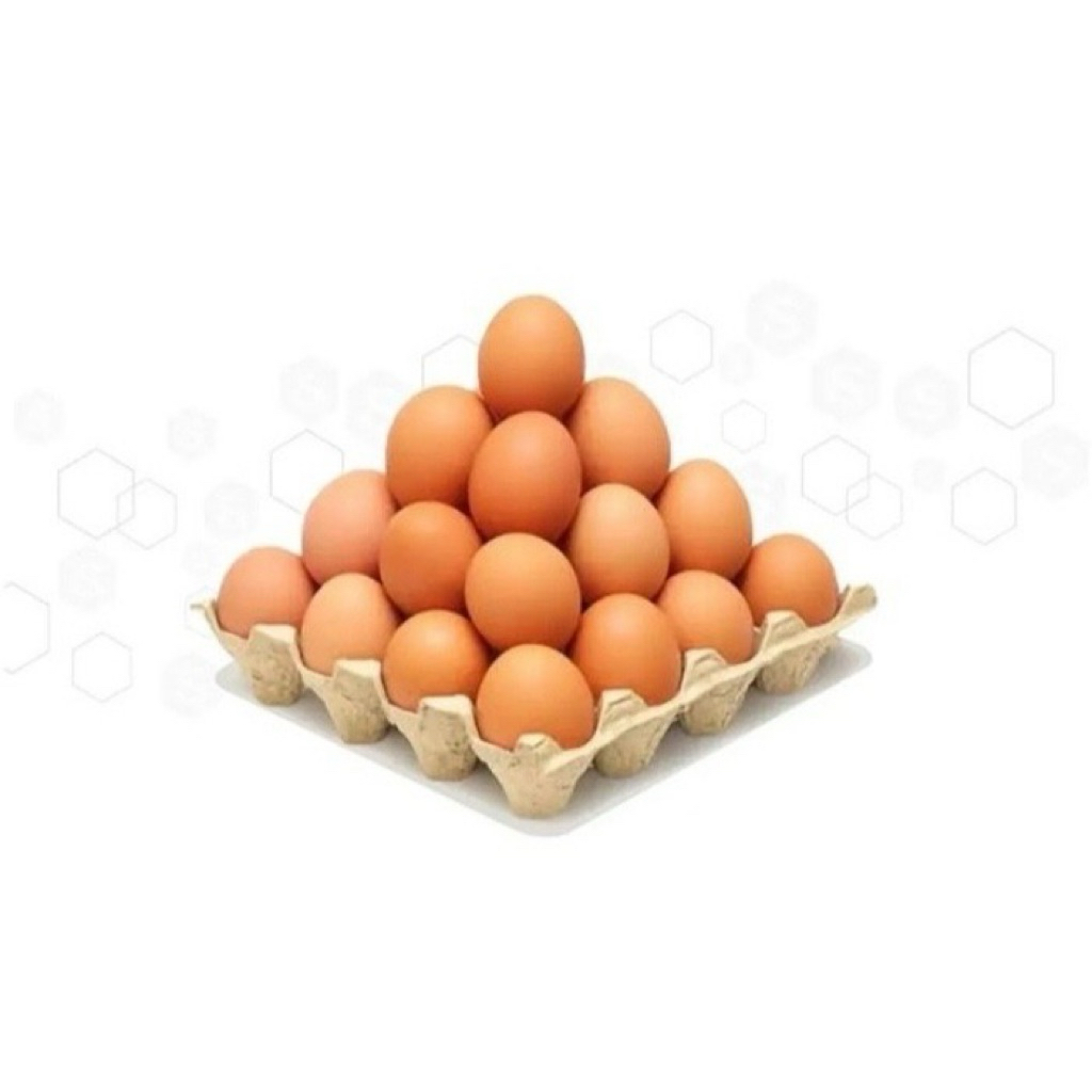 

TELUR AYAM 1KG FRES KANDANG SETIAP HARI