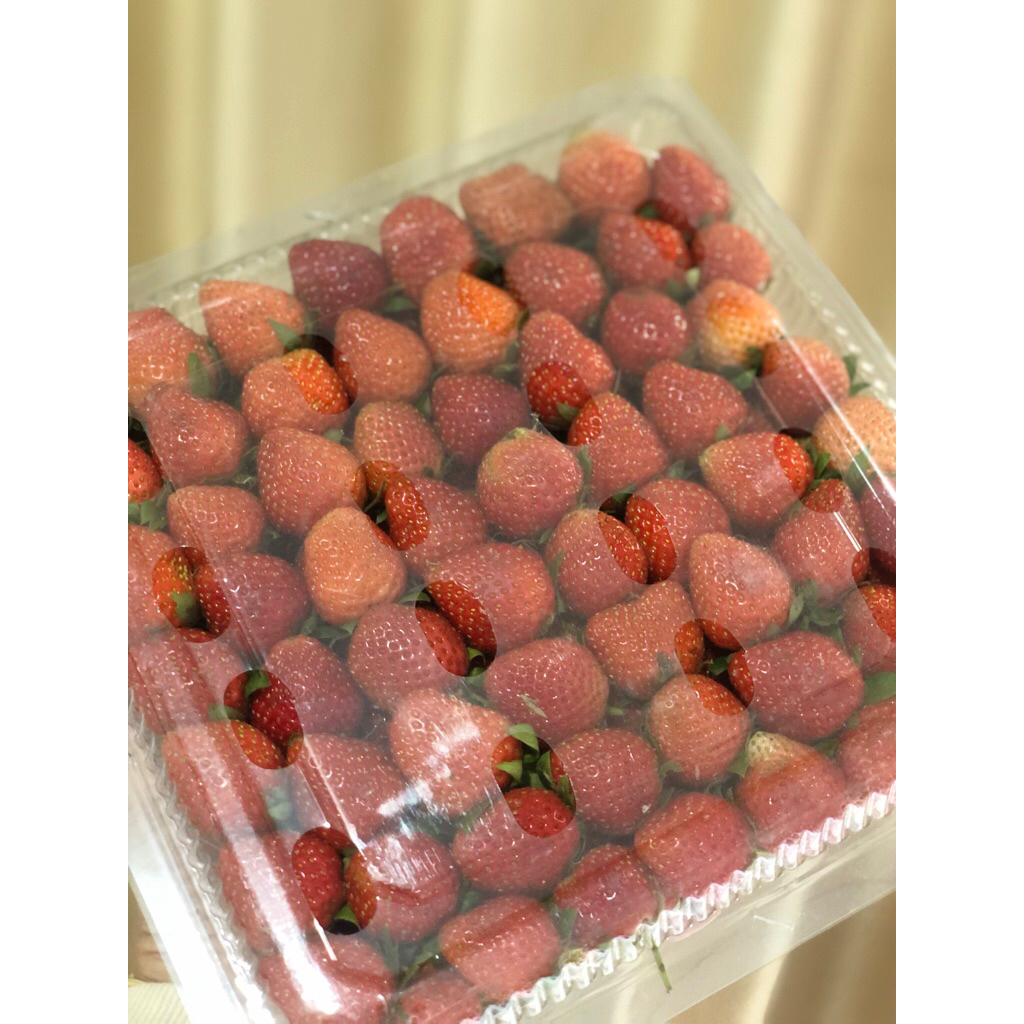 

STRAWBERRY FRESH 800gr s/d 950gr