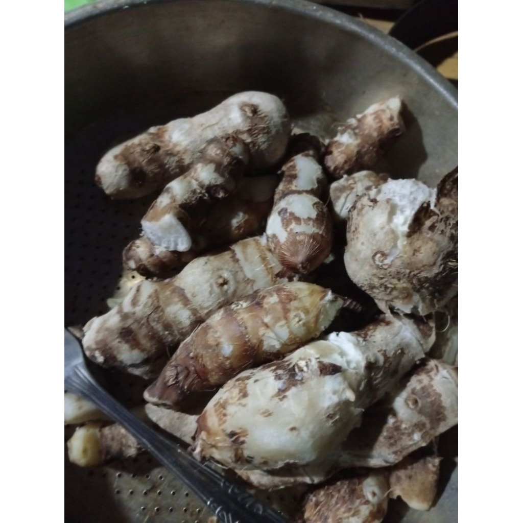 

500 gr talas umbi, talas sayur, talas pulen