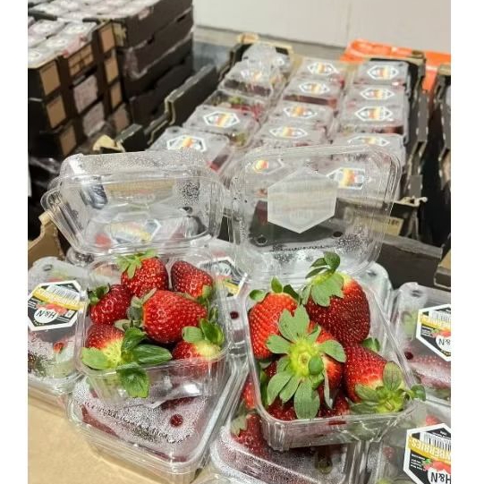 

Strawberry Ausie 250gr