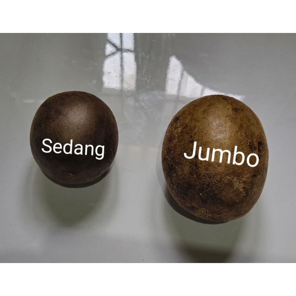 

Jaya Lo Han Kuo / Monk Fruit ukuran Sedang dan Jumbo