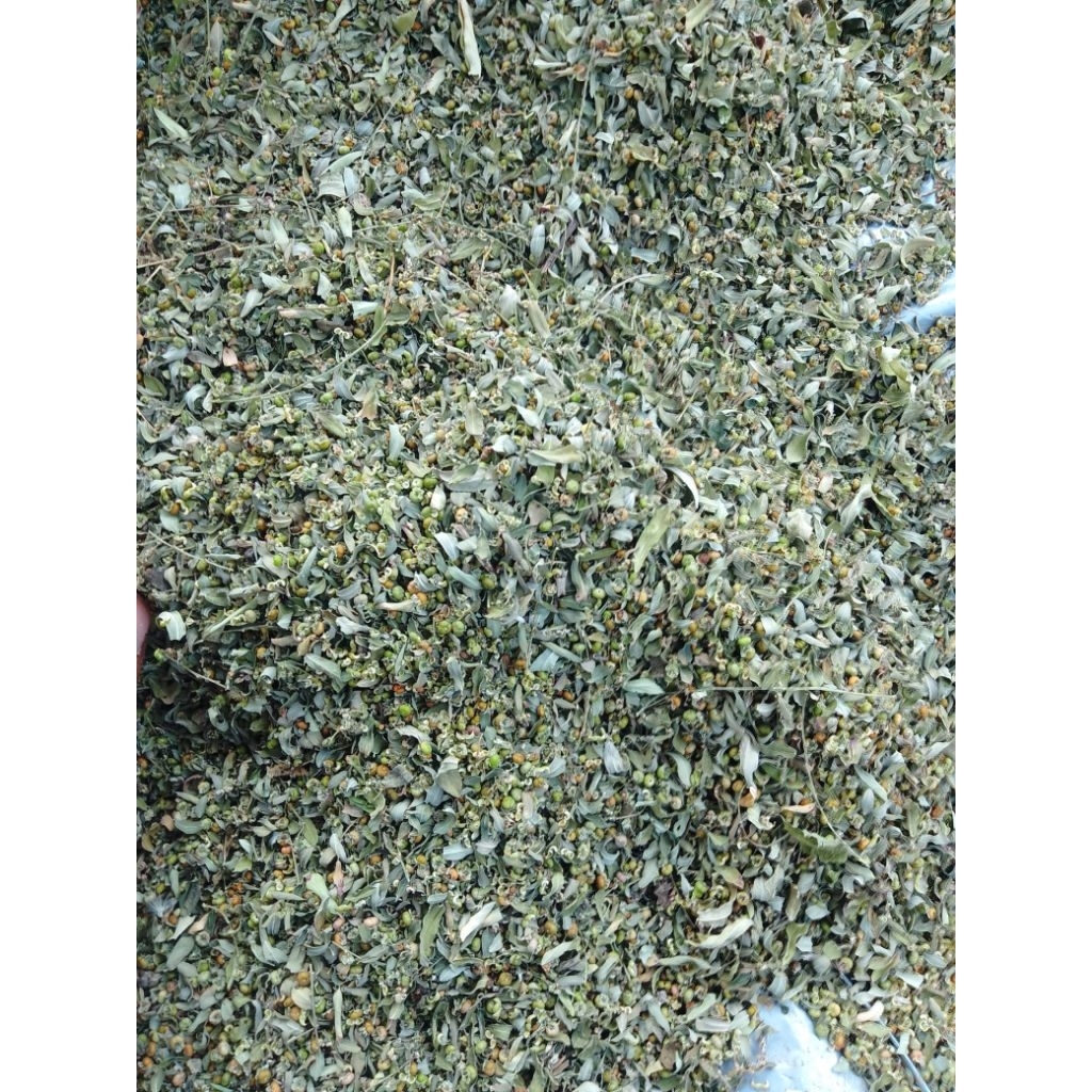 

Daun dan buah meniran kering