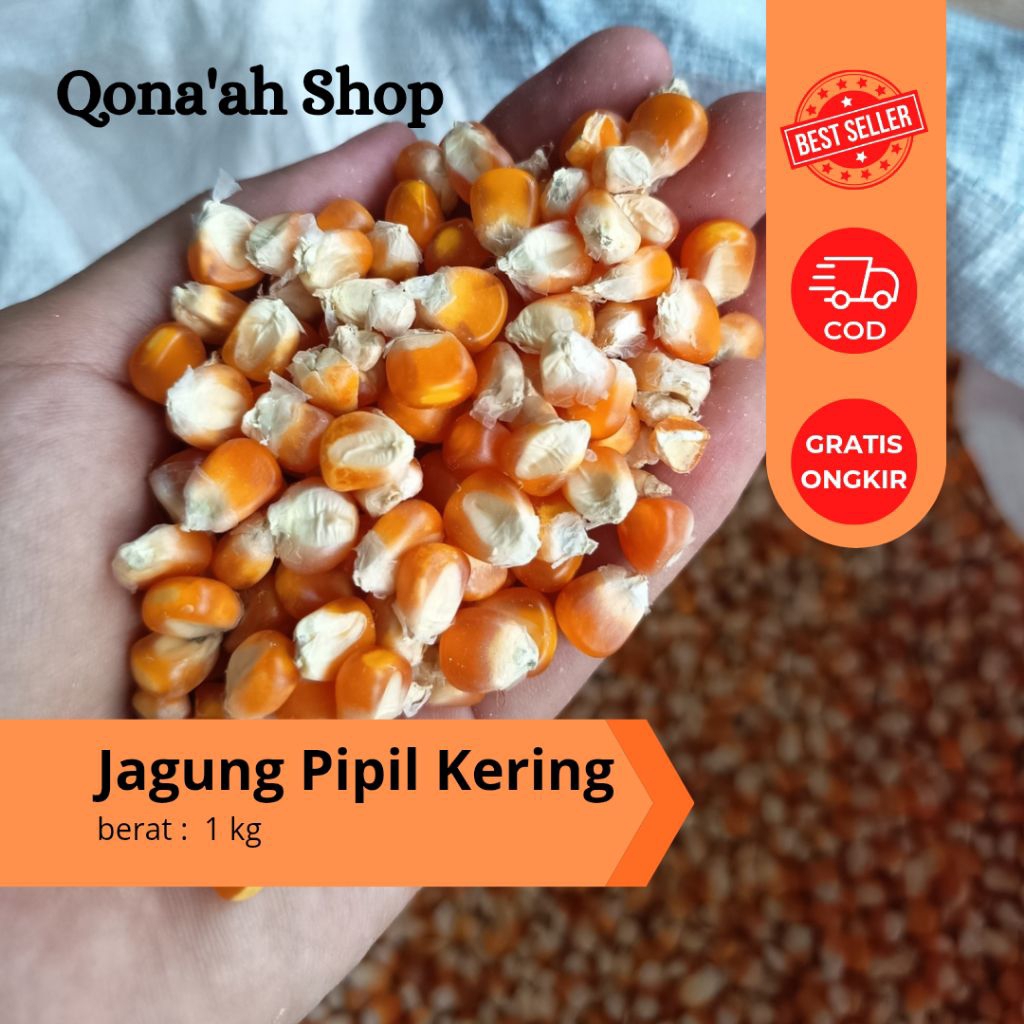 Jagung pipil kering pakan ayam 1kg / jagung ose pakan ayam / jagung pakan ayam / jagung pipil pakan 