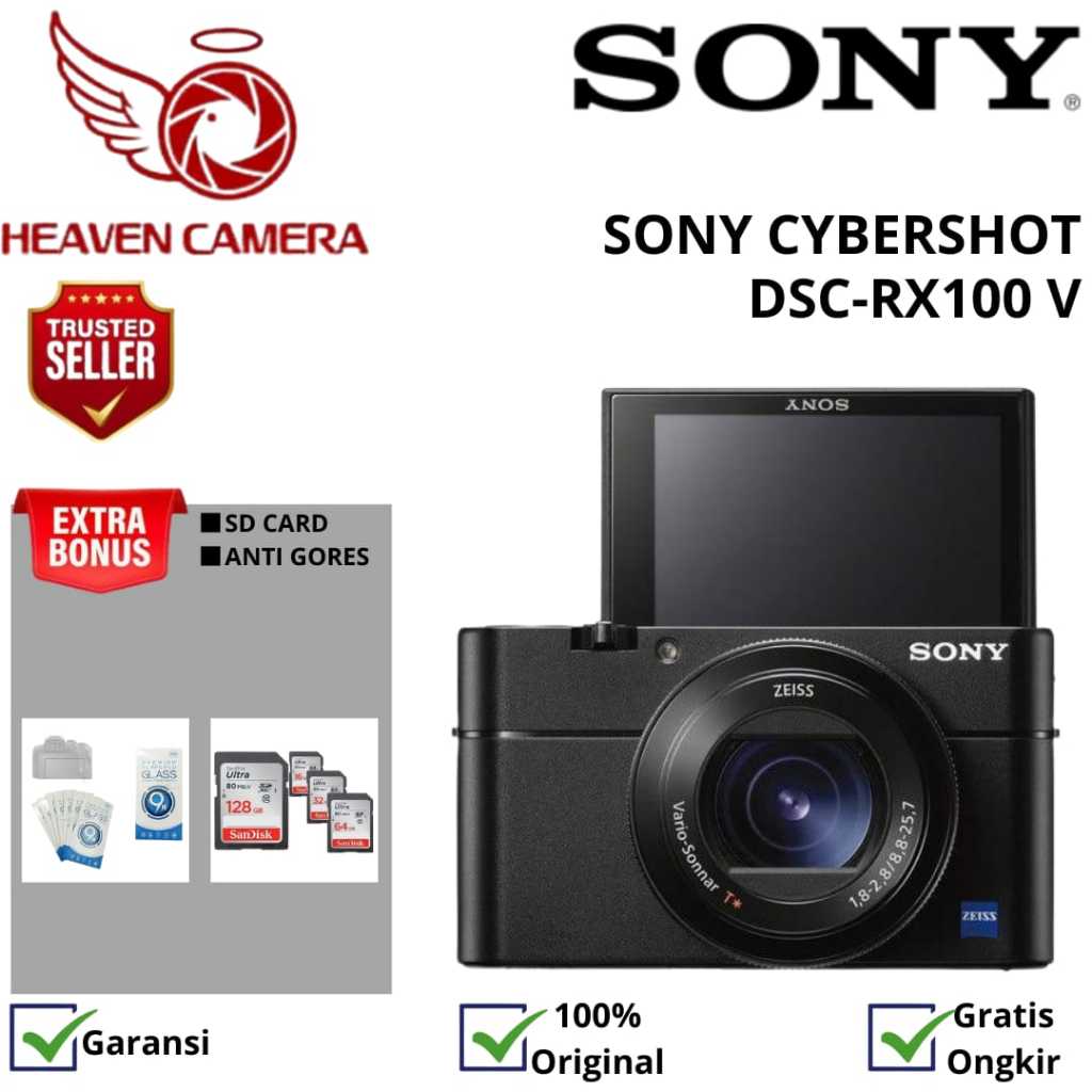 SONY CYBERSHOT DSC RX100 V / SONY DSC RX100 V / SONY RX100 V