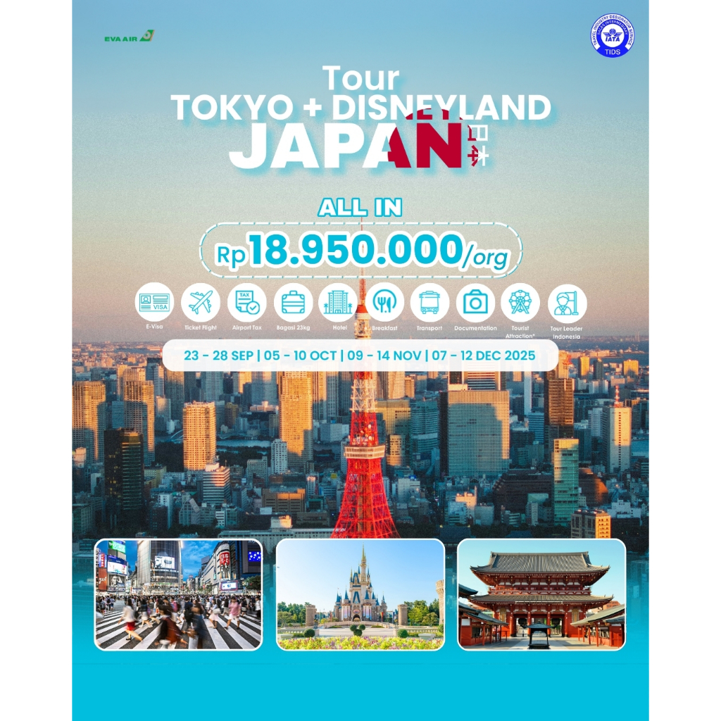 Tour Tokyo + Disneyland, Japan