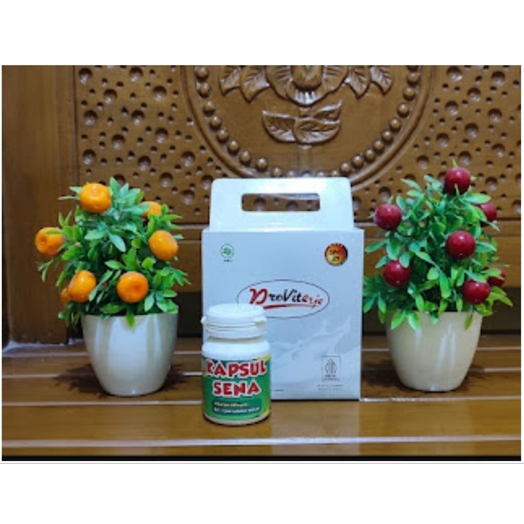 

NUTRISI PAKET EKONOMIS