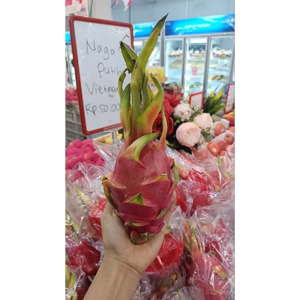 

Buah Naga Putih import Vietnam manis & Fres