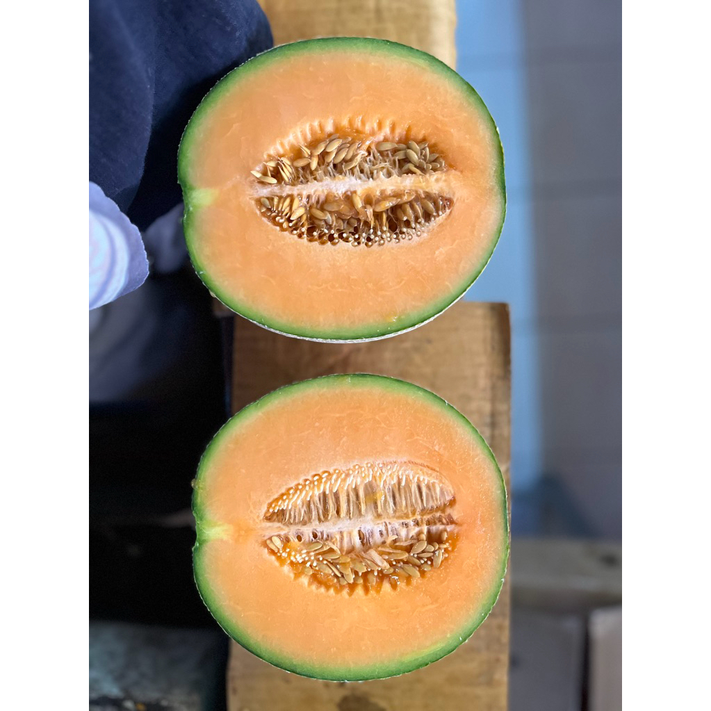 

melon orange/rock 1/2 bulat