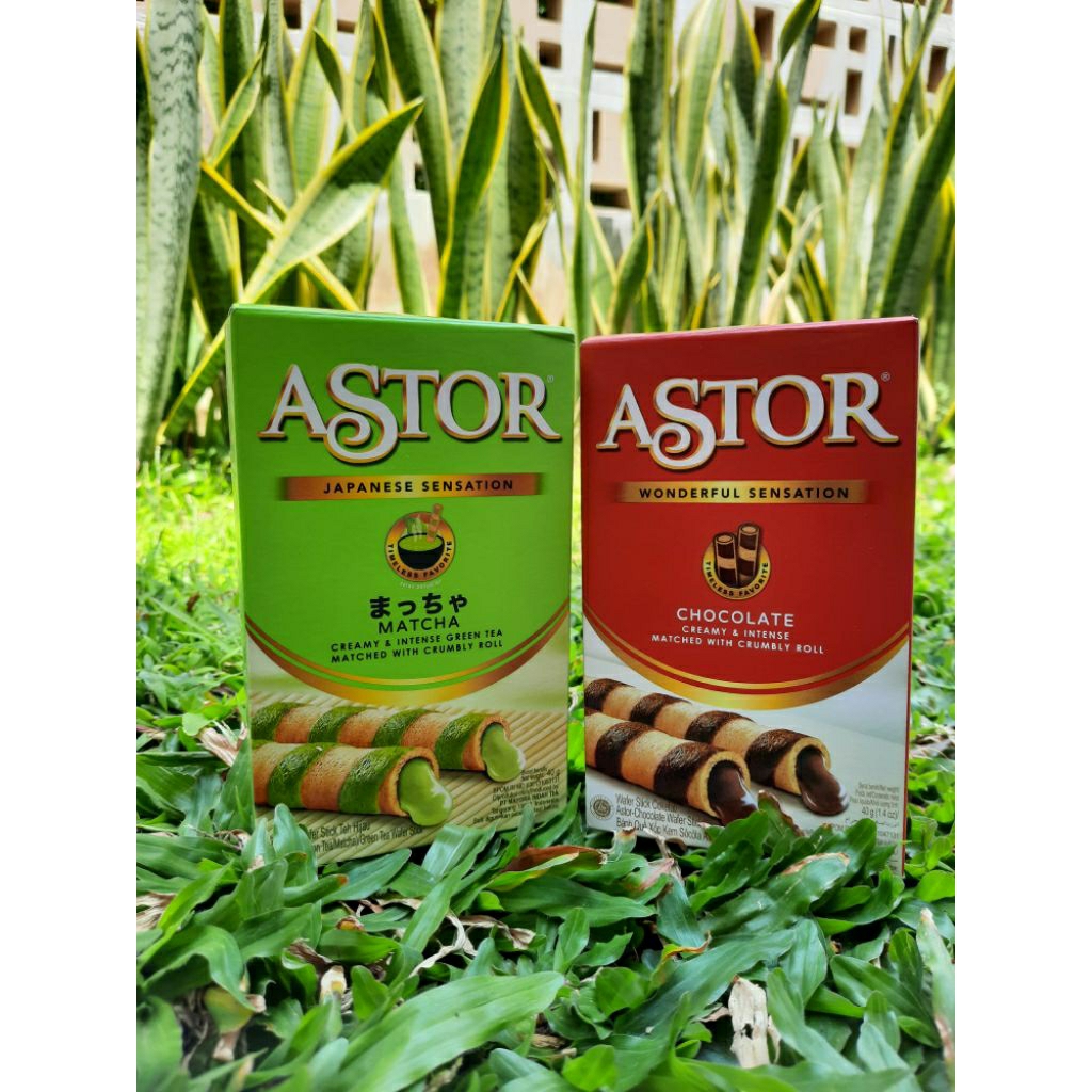 

Astor Wafer Stick Chocolate Mini Pack 40gr