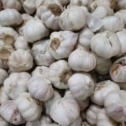 

BAWANG PUTIH 500g