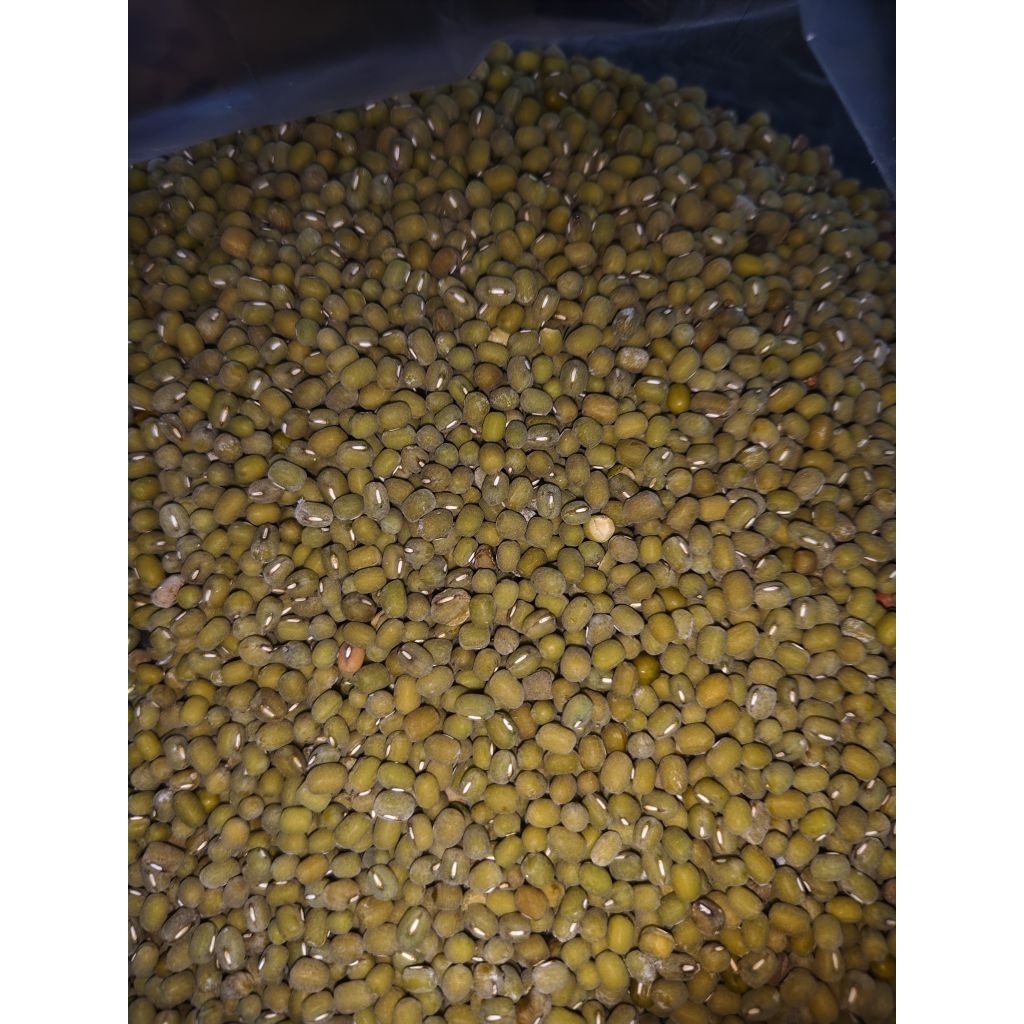 

KACANG IJO 1KG