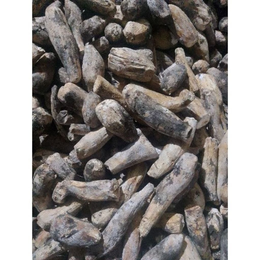 

Gatot Singkong 10kg – Gatot Instan Kering Makanan Tradisional