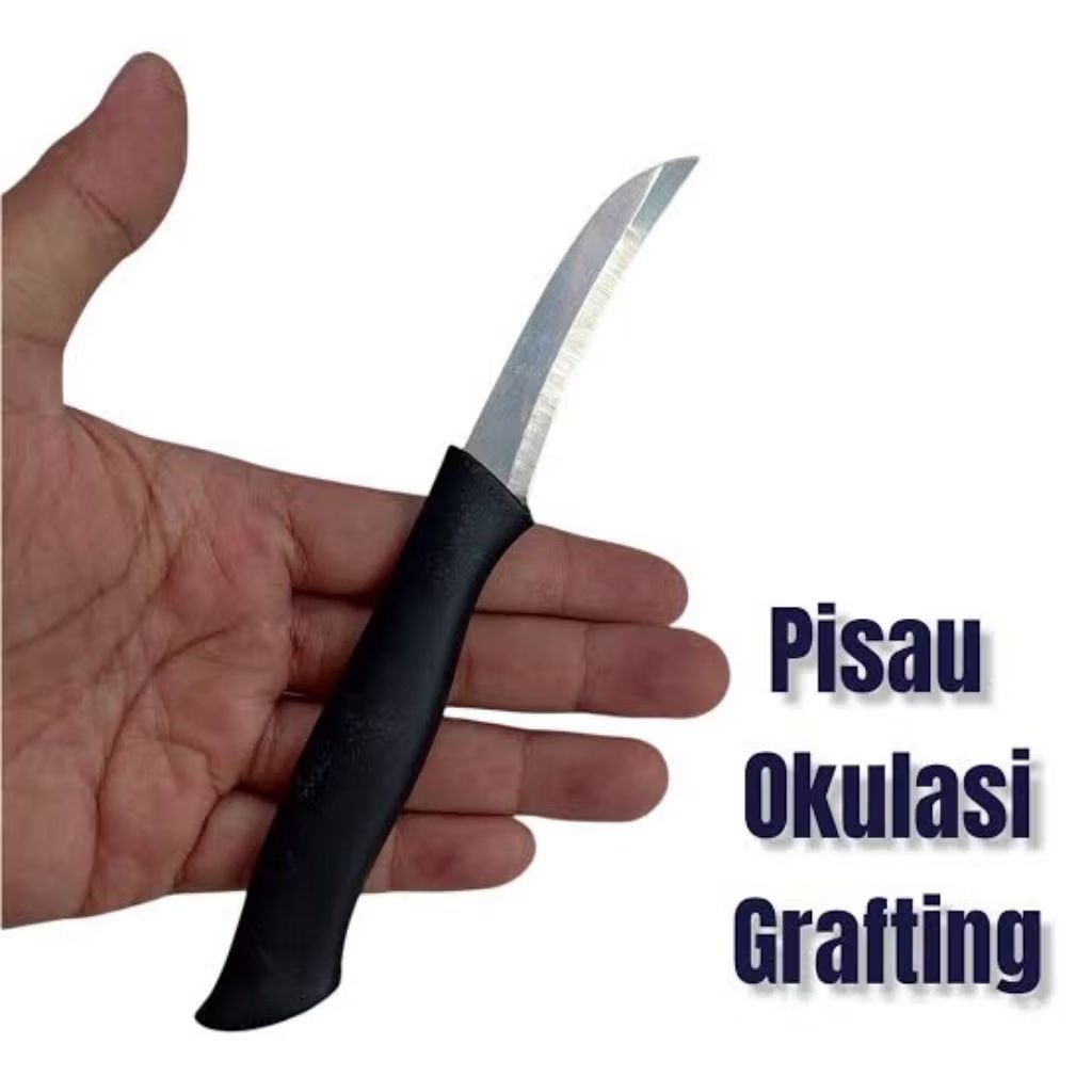 Pisau okulasi grafting stek tajam mini tanaman