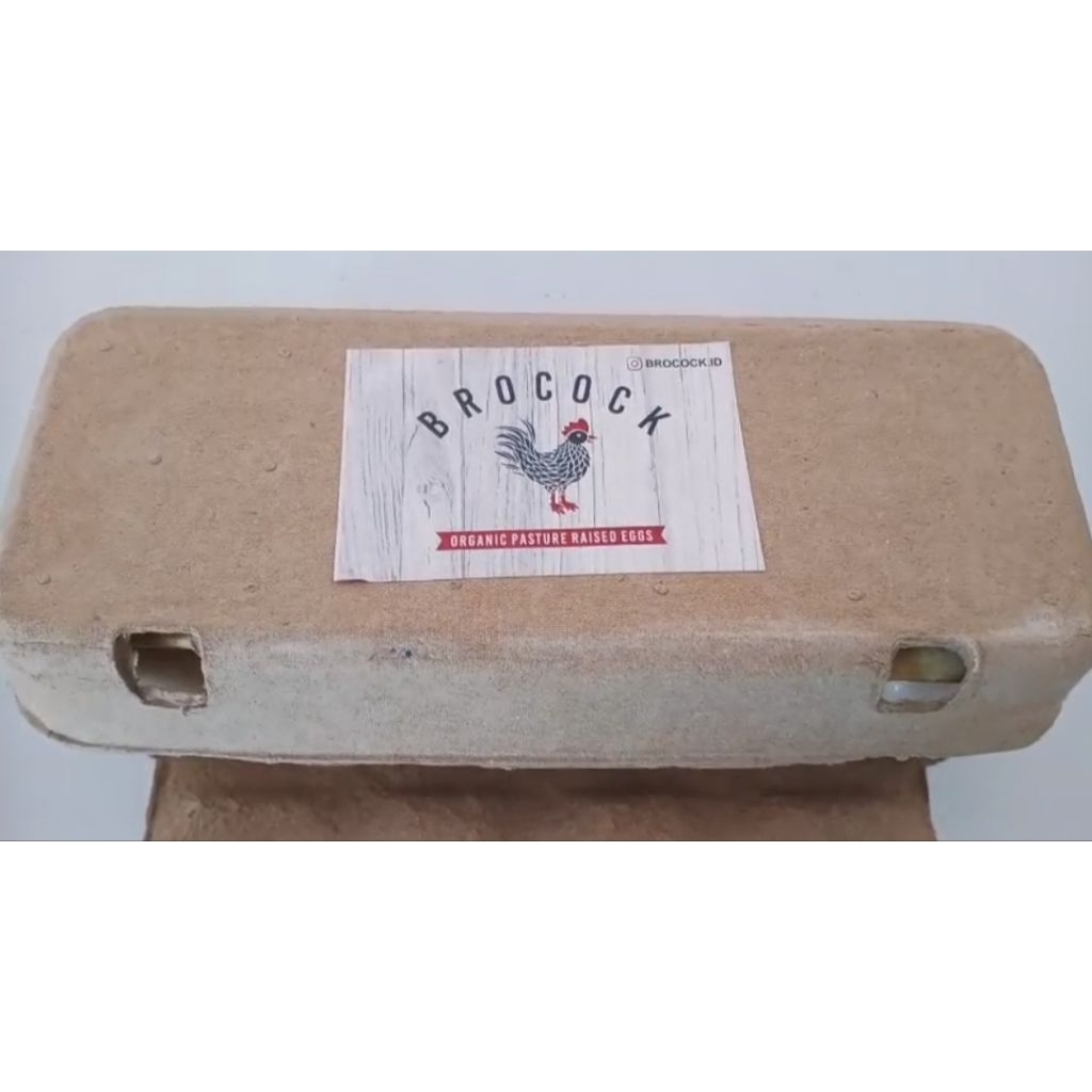 

TELUR KAMPUNG ORGANIK