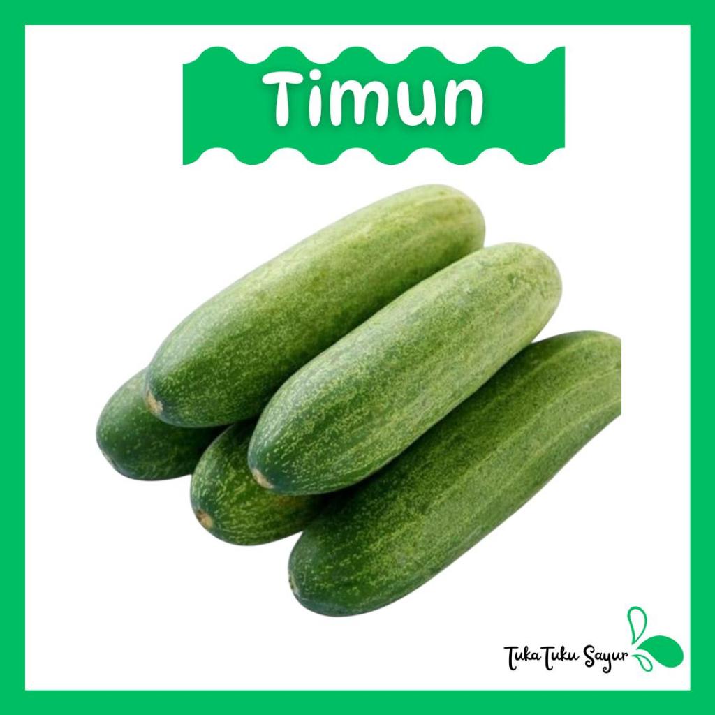 

TIMUN LOKAL 250gr FRESH - TukaTuku Sayur
