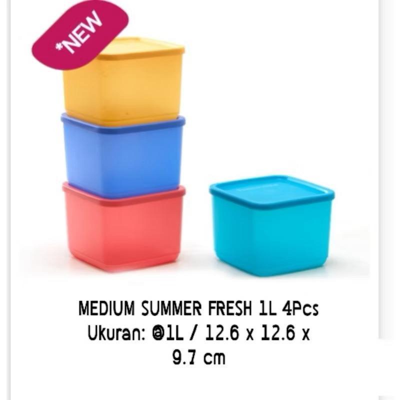 Medium Summer Fresh Tupperware