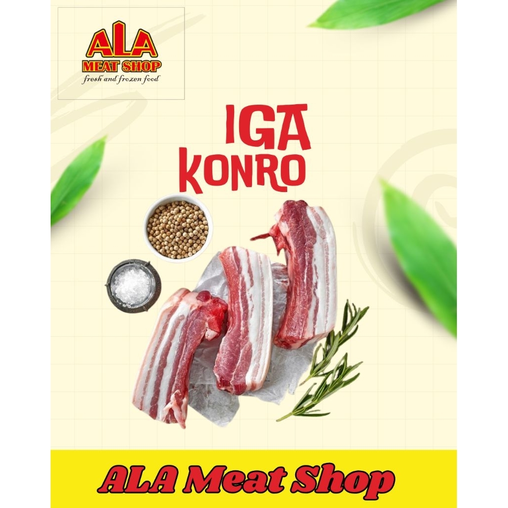 Iga Konro