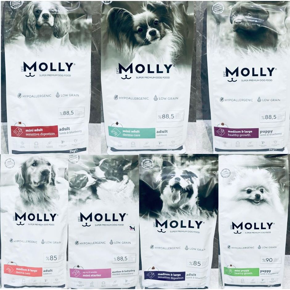Dog food molly makanan anjing premium dog food makanan mini adult dog food dry dog food kibble dog f