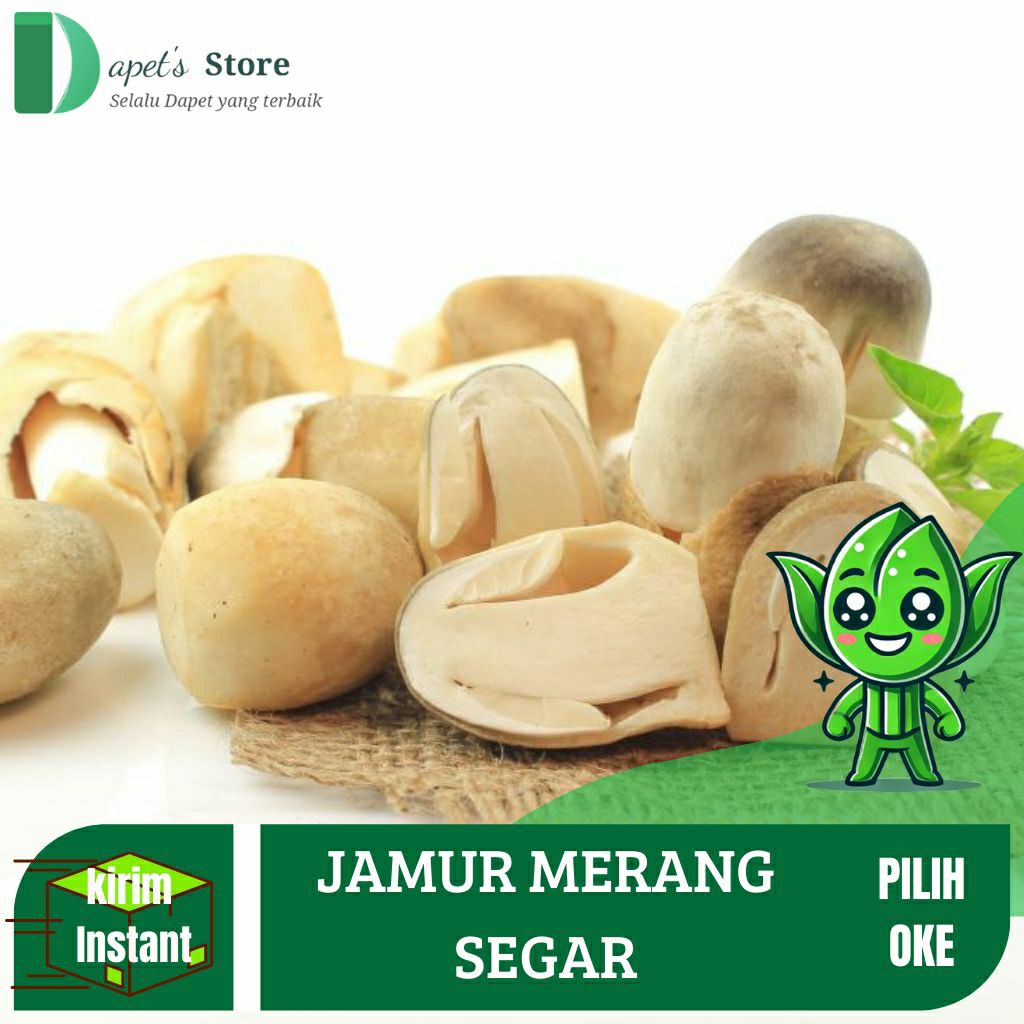 Jamur Merang Segar Jamur Merang Fresh Mushroom - Dapet'S Store