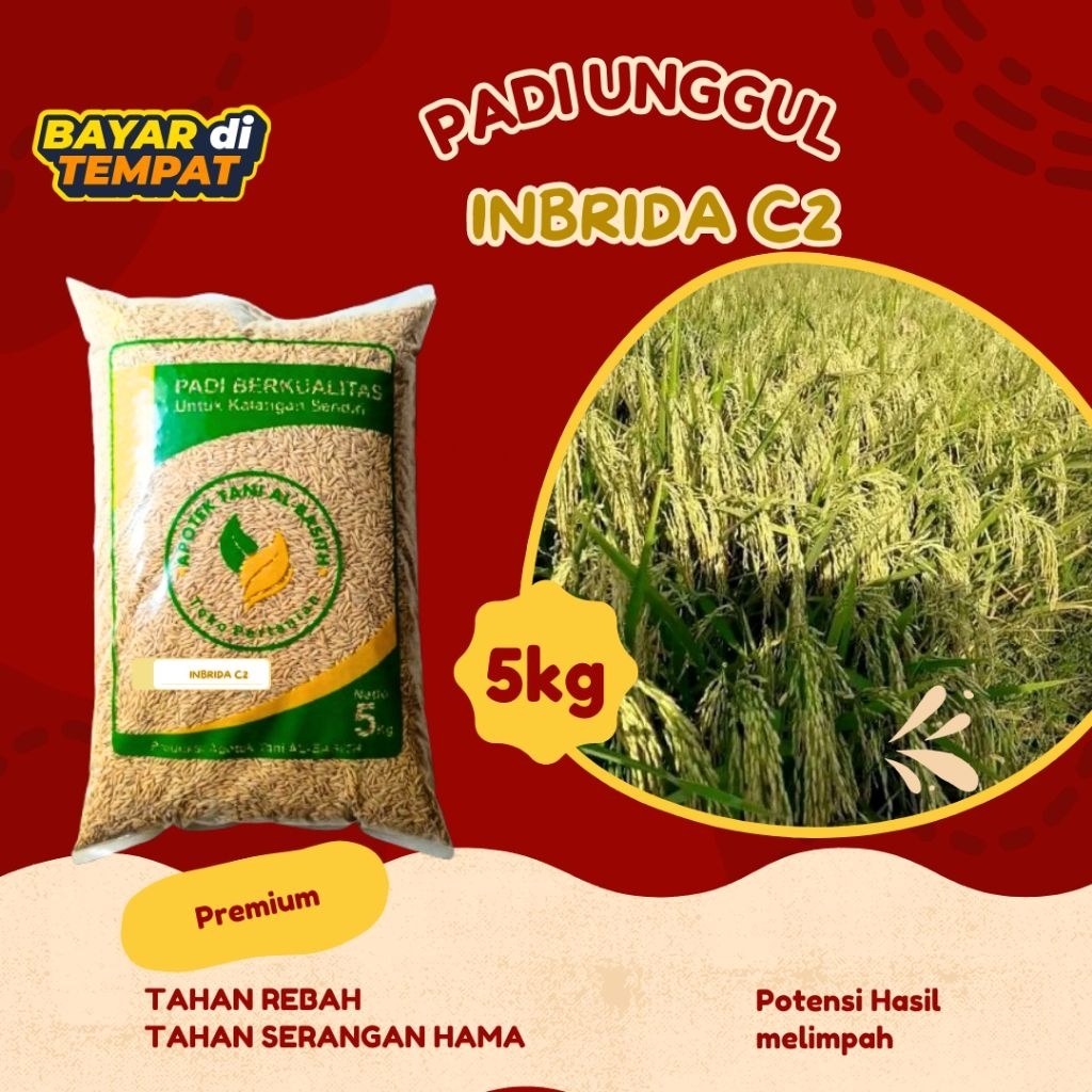 BENIH PADI INBRIDA C2 5KG