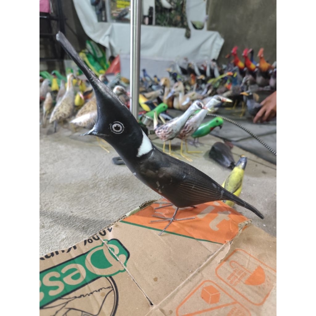 boneka mainan burung cililin hitam/ patung manuk kicau ci lilin bahan spon Lapis stiker laminasi tah