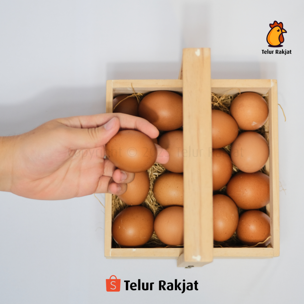

Telur Omega 3