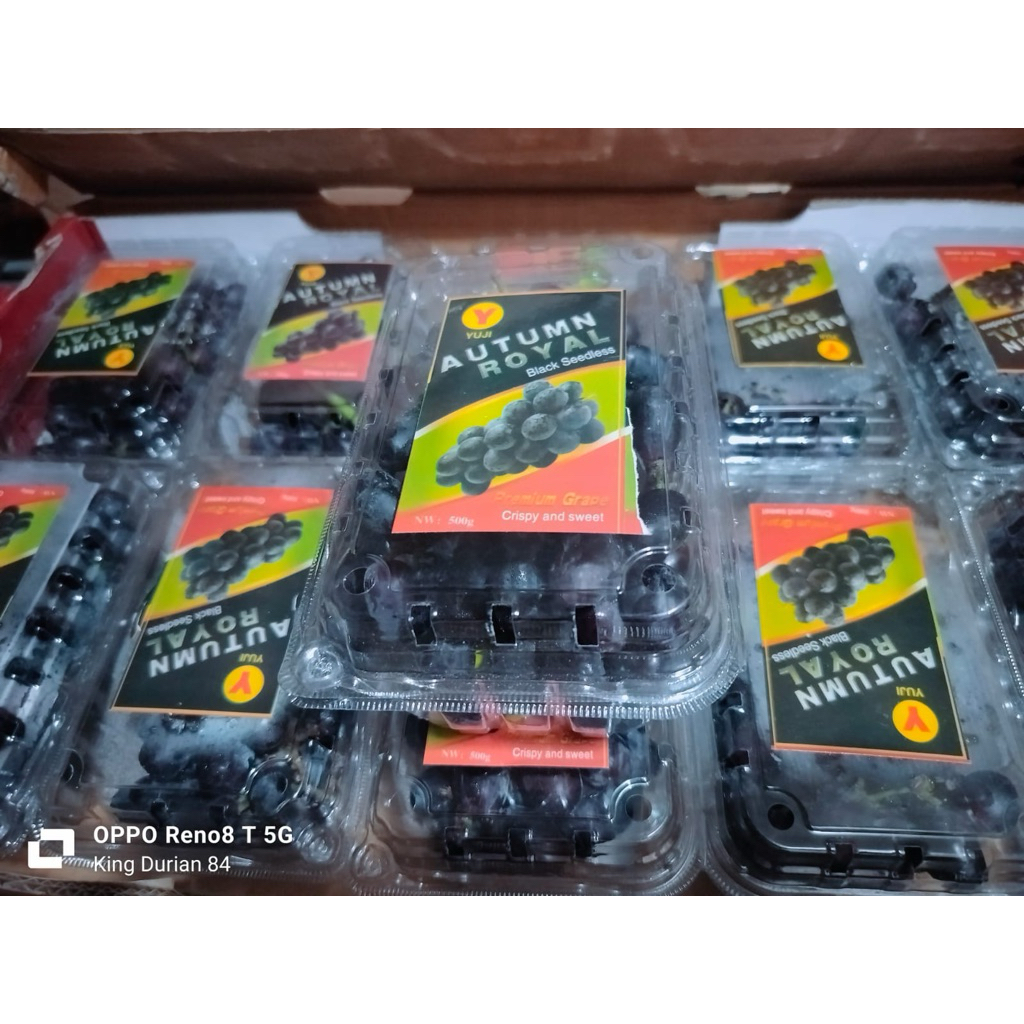 

Anggur Black Autumn 500 gram