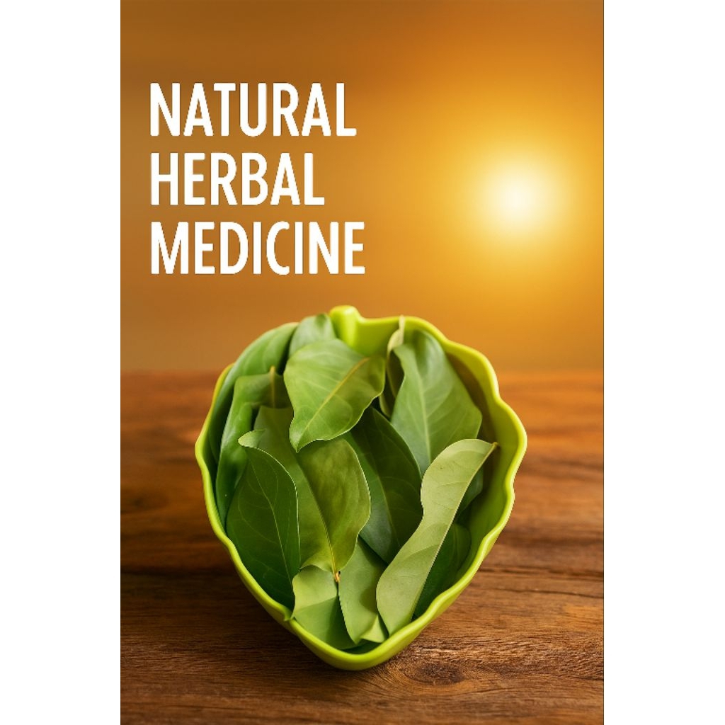 

Daun Salam Segar Murni 250grm