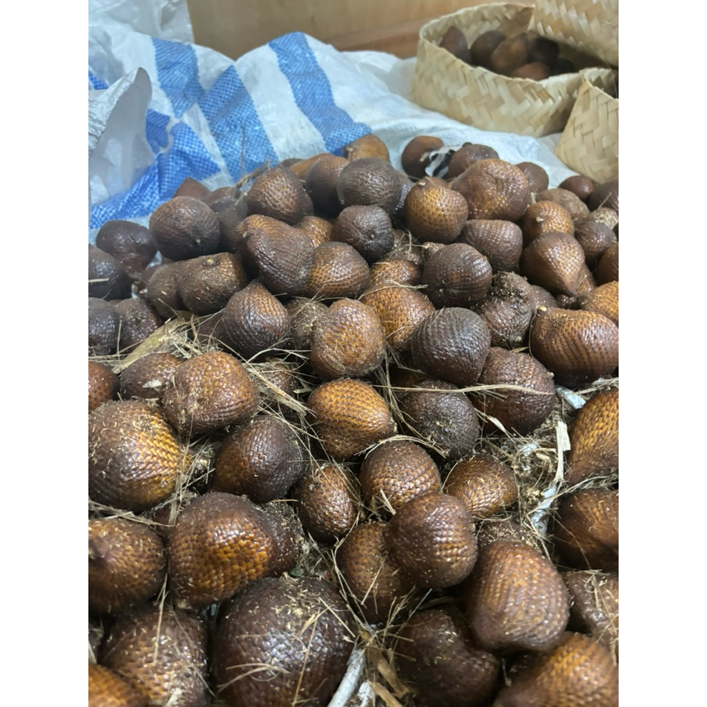 salak gula pasir asli bali manis dan renyah