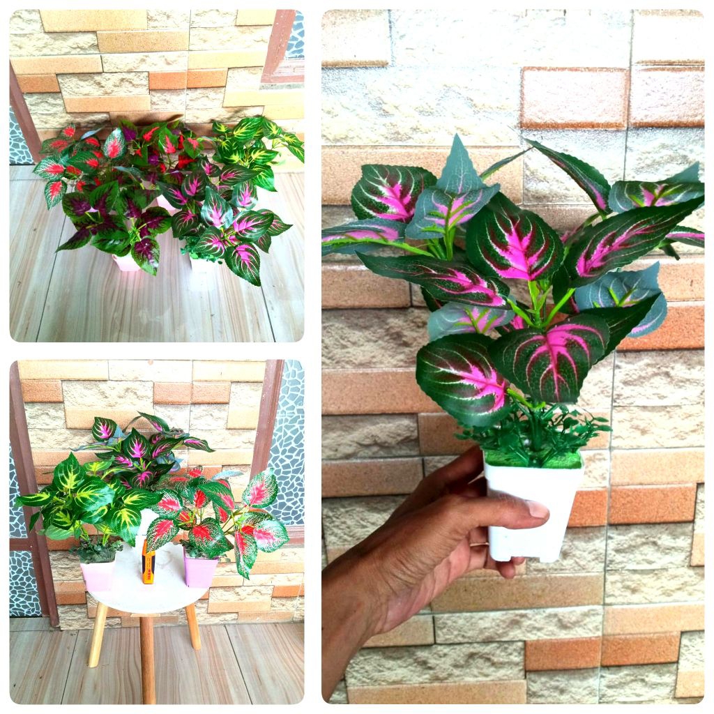 Tanaman daun miana pilea fitonia bunga hias artificial imitasi palsu plastik