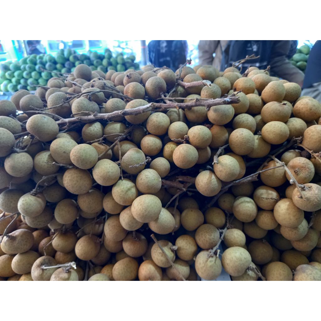 

Lengkeng Manis Super