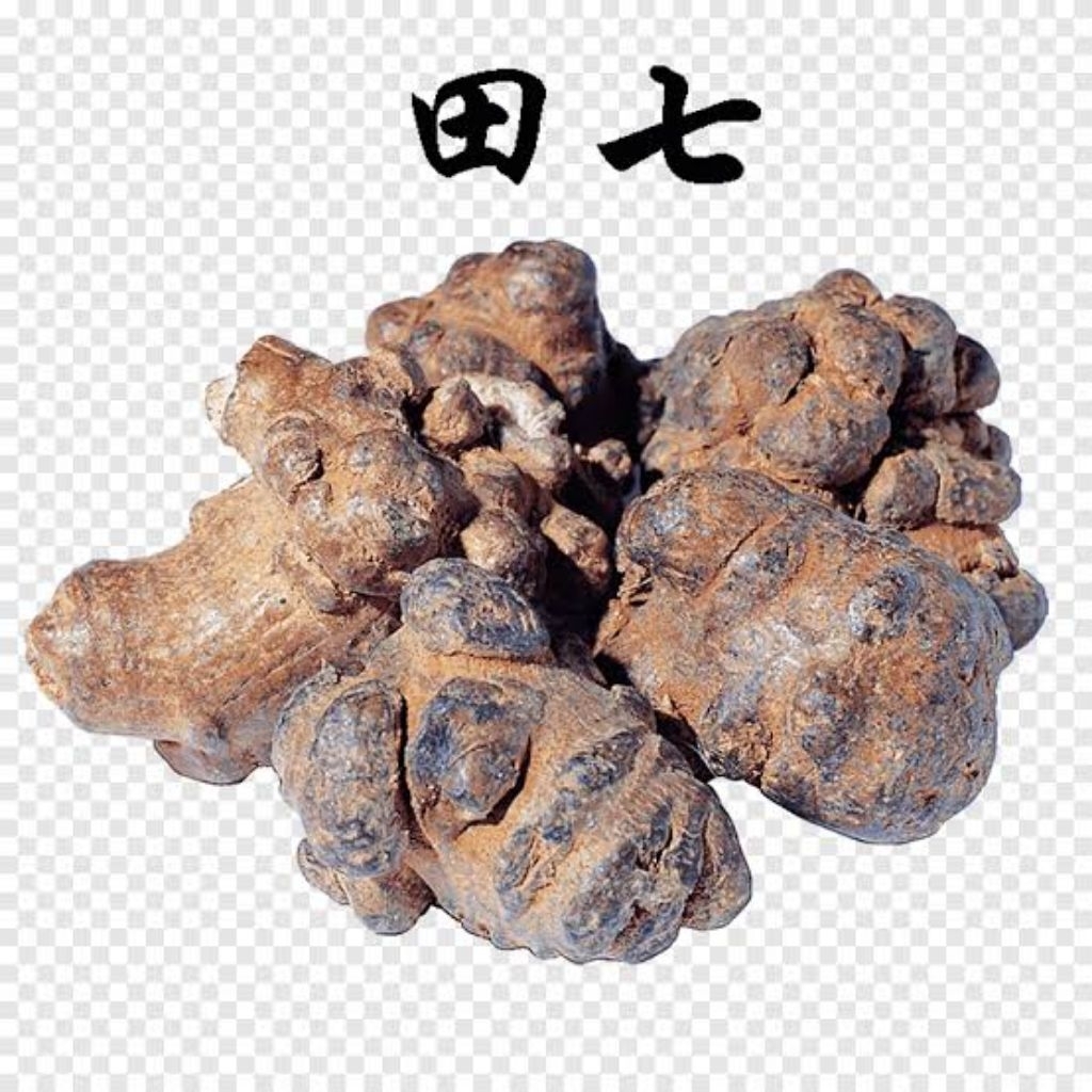 100gr  tian qi premium notoginseng / panax notoginseng