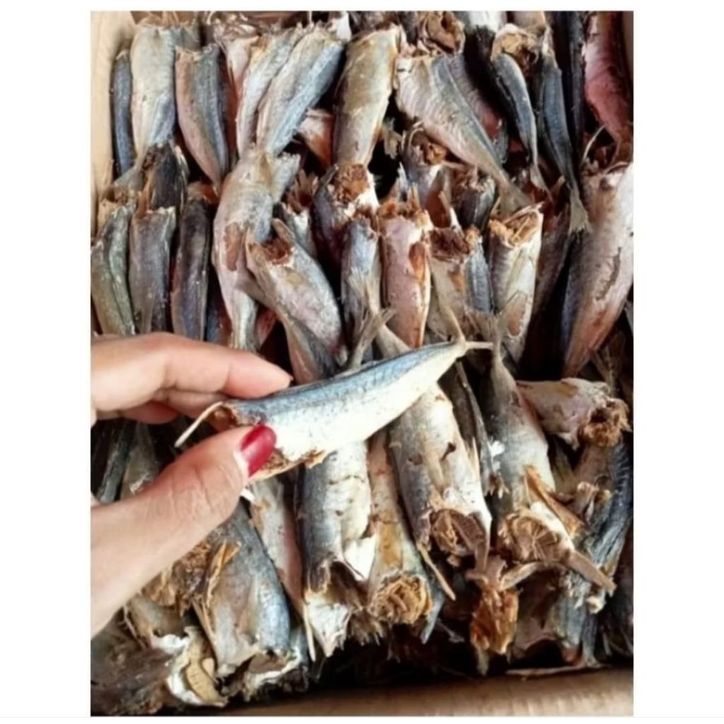 

Ikan Asin Layang / Sarden rebus bersih tanpa kepala kualitas Premium