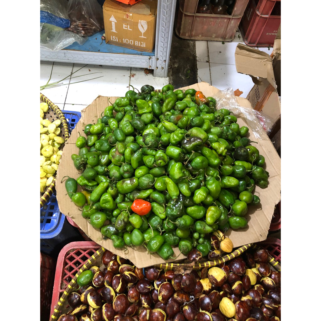 

CABE GENDOT 250 gram