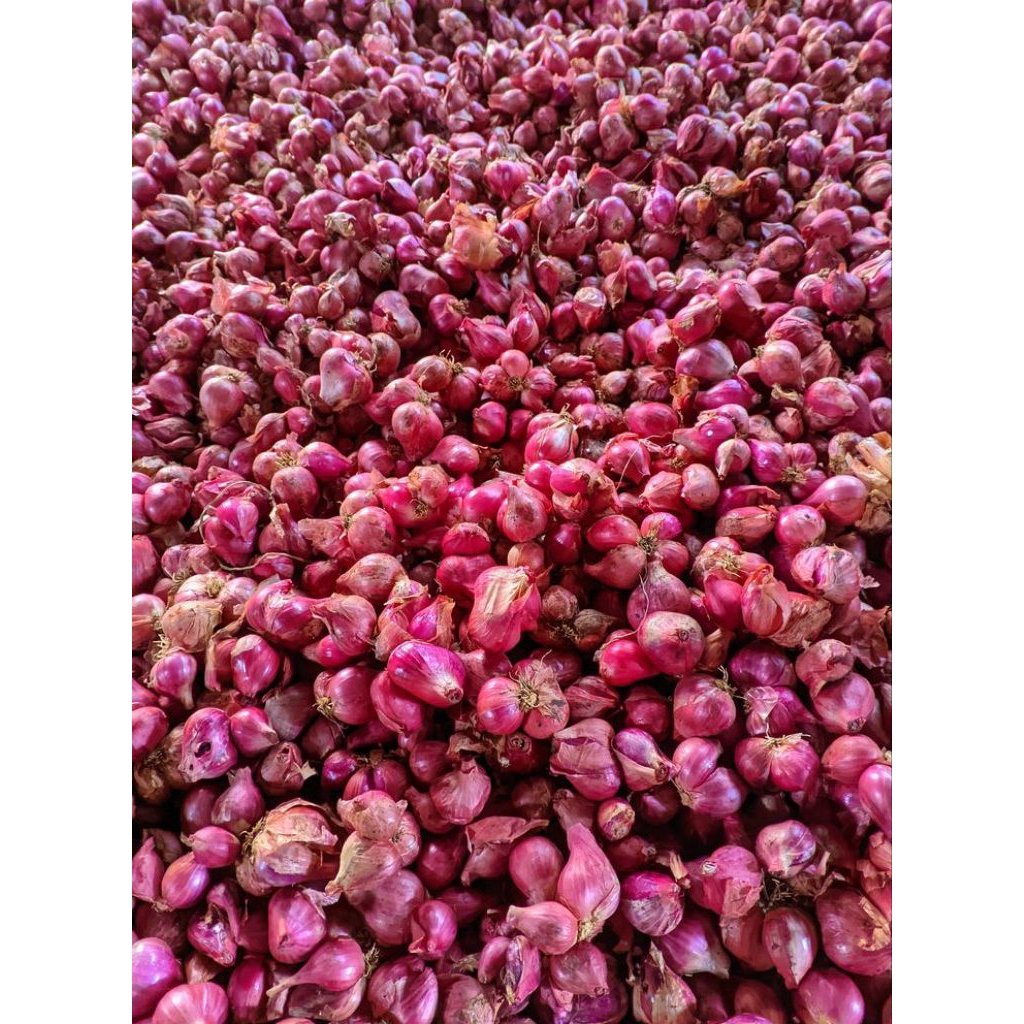 

Bawang Merah Lokal Asli Petani 500g / 750g / 1kg – Hemat & Segar