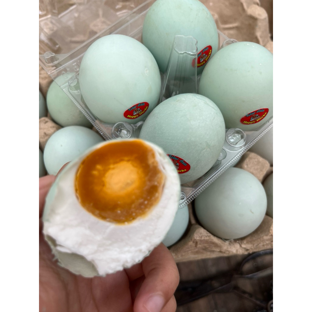 

Telur Asin Asli Brebes isi 10