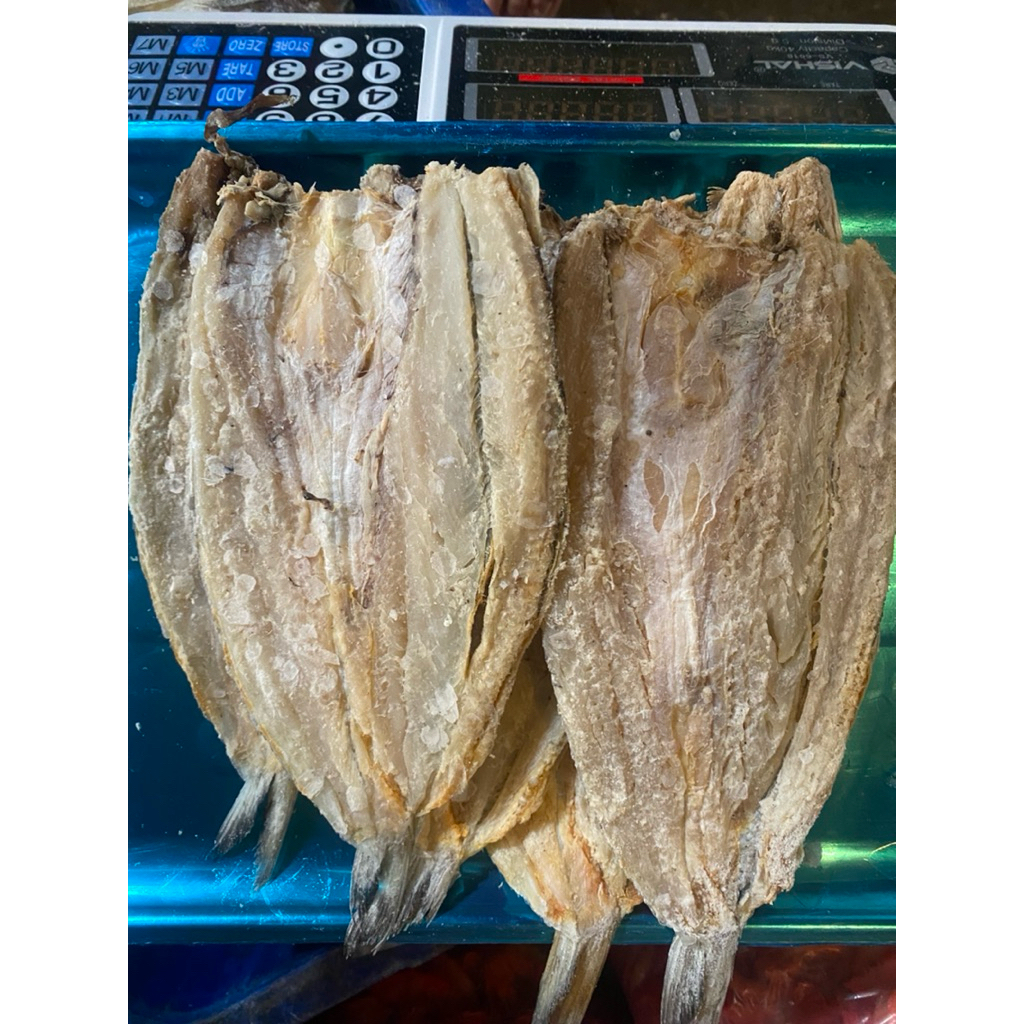 

ikanasin bloso tanggung